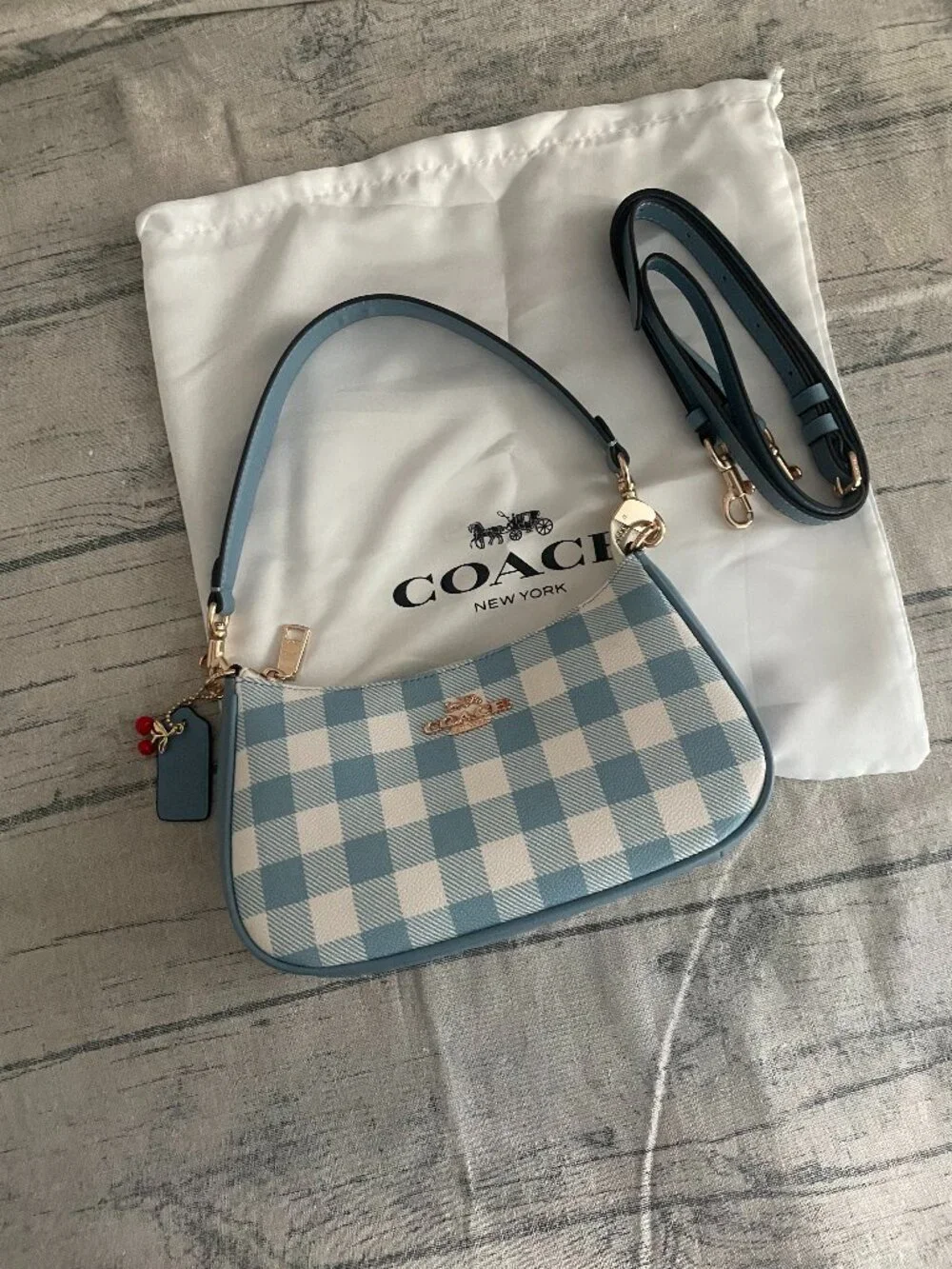Coach Blue and White Checkered Crescent Underarm Bag